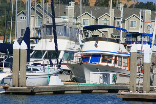 Big new marina on a sunny day.
