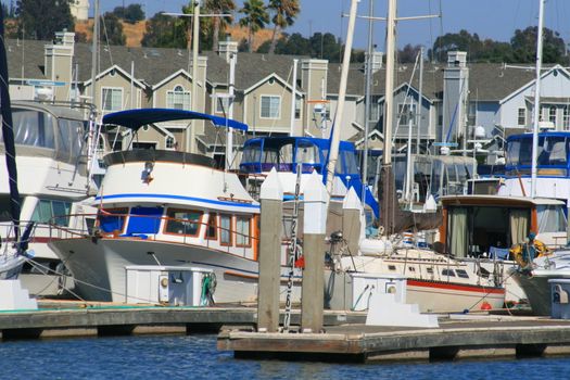 Big new marina on a sunny day.
