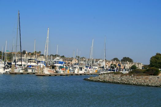 Big new marina on a sunny day.
