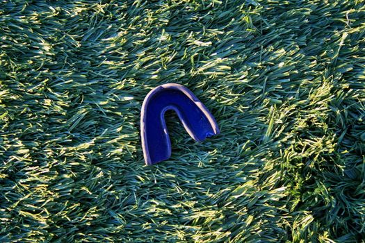 Close up of a sports mouth guard on grass.
