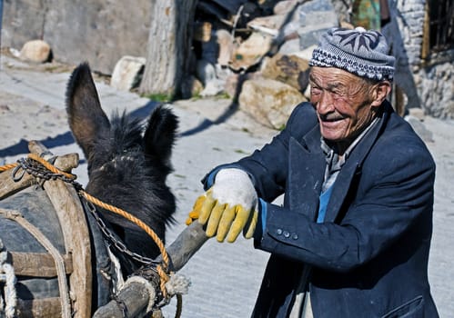 May 2008 Turkish village - Old Turkish man working with his donkey