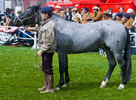 September 2008 Montevideo Uruguay - Gaucho in a horse show in "Expo Prado"