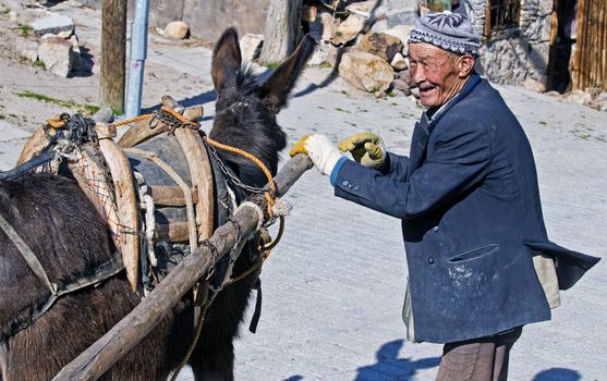 May 2008 Turkish village - Old Turkish man working with his donkey