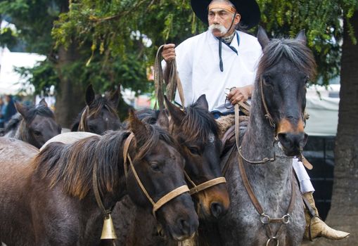 September 2008 Montevideo Uruguay - Gaucho in a horse show in "Expo Prado"