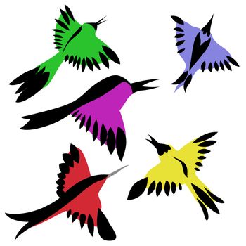 drawing of the decorative birds on white background