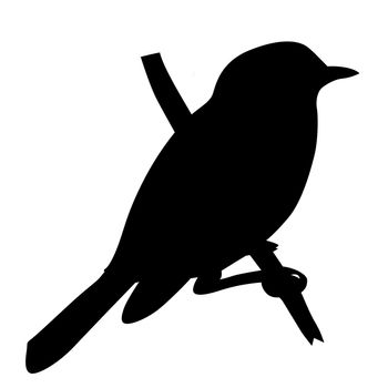 bird silhouette on white background, vector illustration