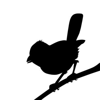 bird silhouette on white background, vector illustration