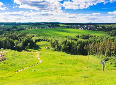 with mountains, pastures, and footpath