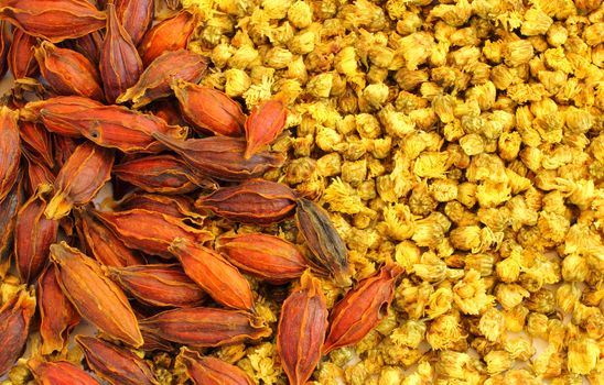 Dried chrysanthemum flowers and seed