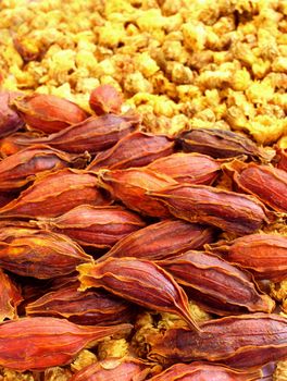 Dried chrysanthemum flowers and seed