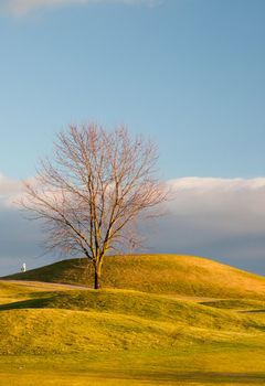 On the empty golf course in autumn