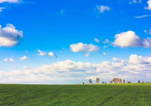 Green field and blue sky