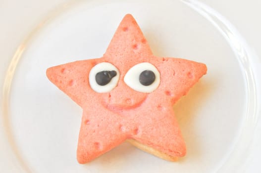 Home made star shaped strawberry and vanilla chocolate cookie in a dish