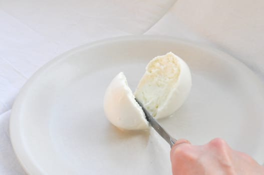 Cook hand cutting traditional Italian mozzarella di bufala (buffalo mozzarella) cheese made from buffalo milk
