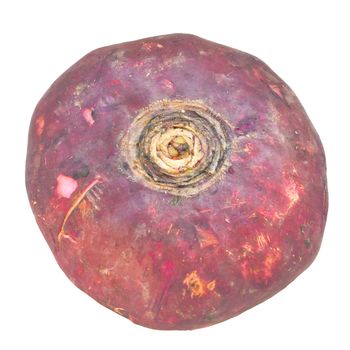 Beetroot vegetable aka the table beet, garden beet, red beet - isolated over white background