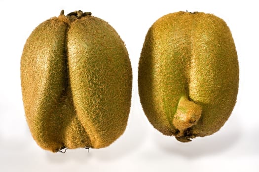 kiwifruit on white background