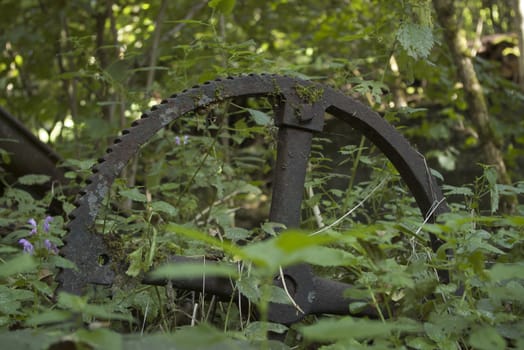 rusty gear wheel in green environment