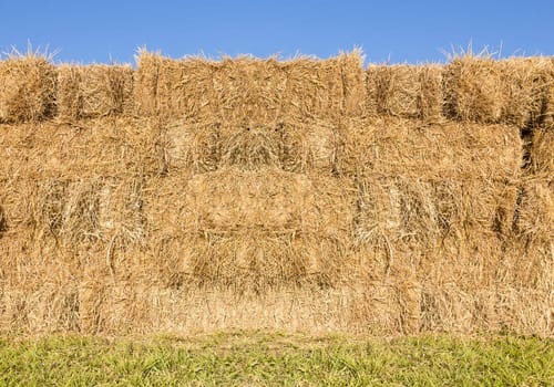 Field with bales of hay or straw countryside at harvest time