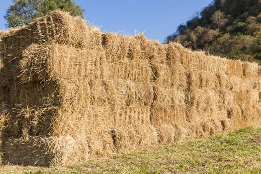 Field with bales of hay or straw countryside at harvest time