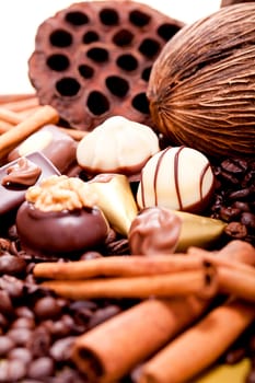 collection of different chocolate pralines truffels on golden brown background macro