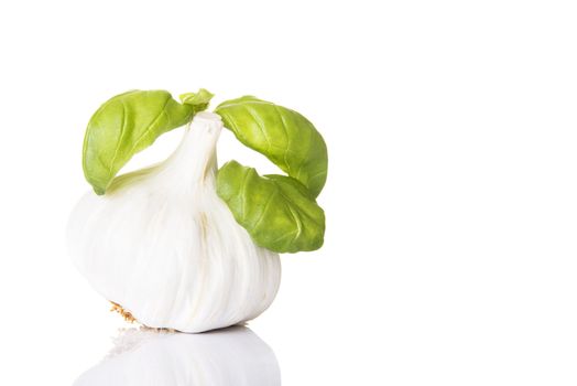 Garlic and basil isolated on white