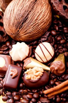 collection of different chocolate pralines truffels on golden brown background macro