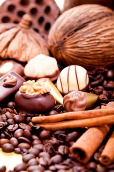 collection of different chocolate pralines truffels on golden brown background macro