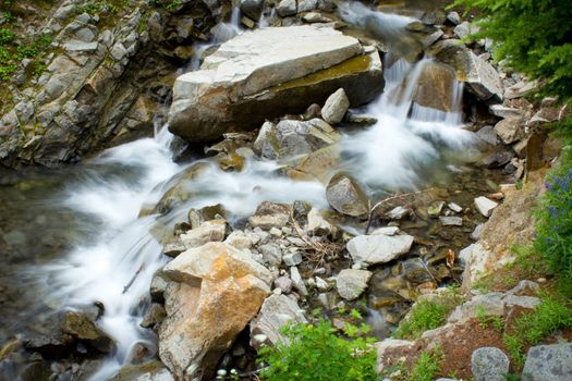 Waterfall in the forests of Mount Rainier National Park in Washington State