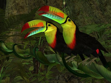 Two Toucan birds perch together on a jungle vine in the tropics.