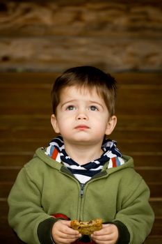 Photograph of a cute, blue-eyed, brown-haired little boy in a green sweatshirt looking upward while eating a cookie