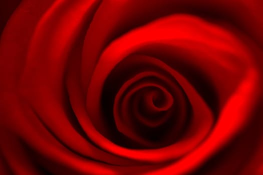 The photograph is a close-up, macro shot of the center of a red rose blossom.