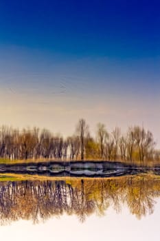 scene with water reflection