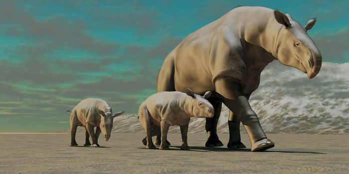 A rhinoceros-like Paraceratherium mother with two twin calves walks along a stony desert in the Oilgocene Era.