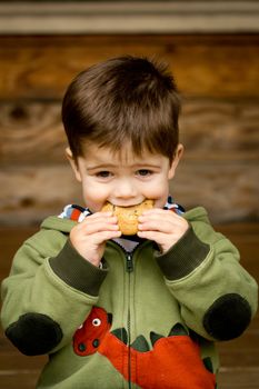 Photograph of a cute, brown-haired little boy in a green sweatshirt eating a cookie