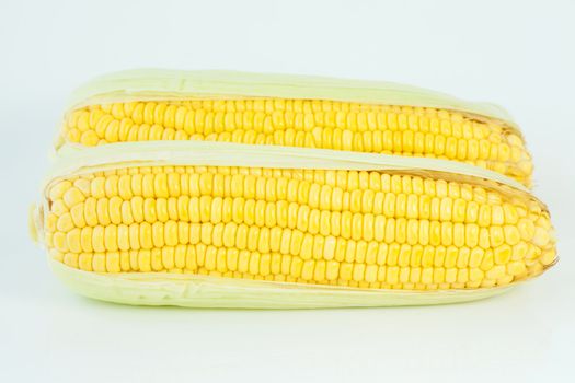 Fresh corn