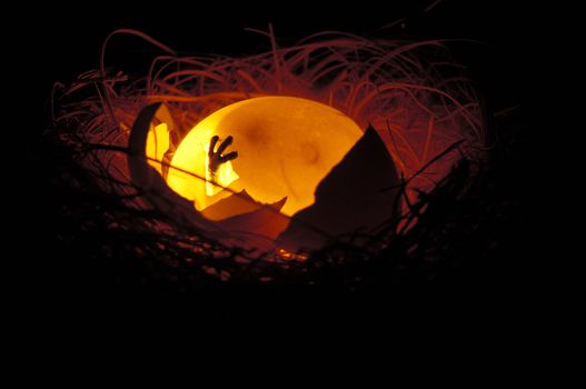 A nest of a weird alien creature with a hatching egg glowing