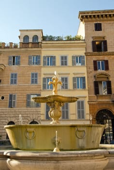 Bath Fountain Piazza Farnese (Rome Italy)