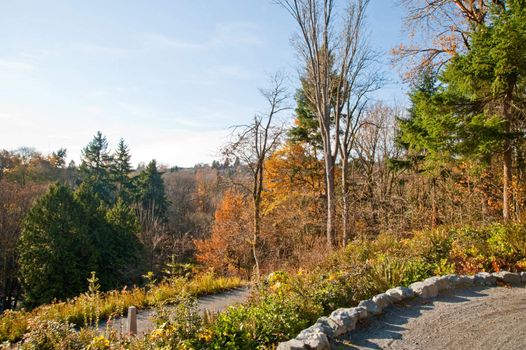 Washington Park Arboretum in Seattle