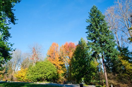 Washington Park Arboretum in Seattle
