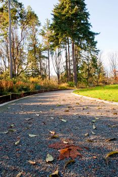 Path in Washington Park Arboretum