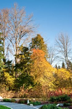 Washington Park Arboretum in Seattle