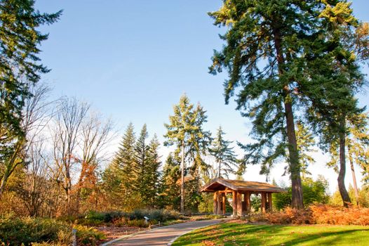 Washington Park Arboretum in Seattle