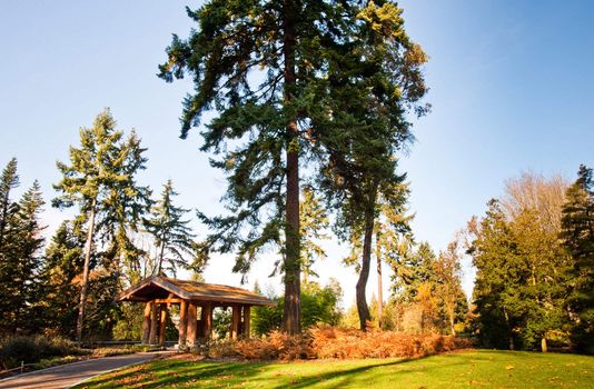 Washington Park Arboretum in Seattle