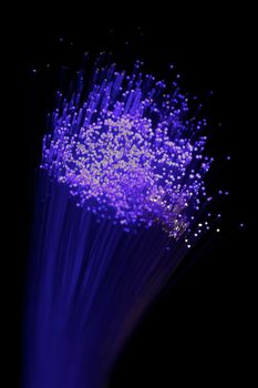 Fibre optics isolated against a black background