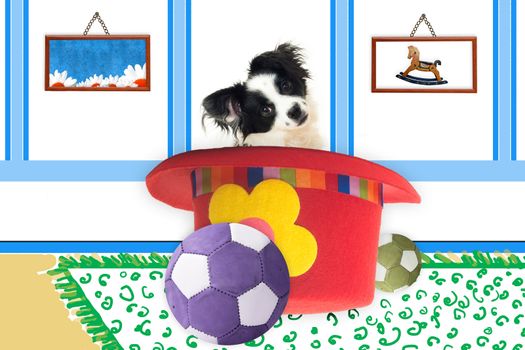 puppy inside hat in the playroom, children decoration