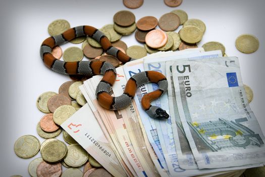 snake and money