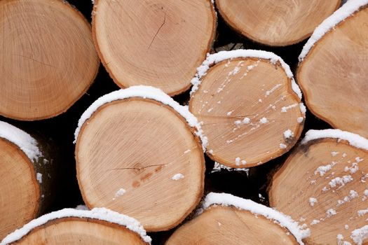 closeup of pine logs with snow in winter forest