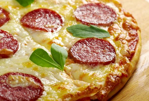 homemade pizza  Pepperoni.Closeup 