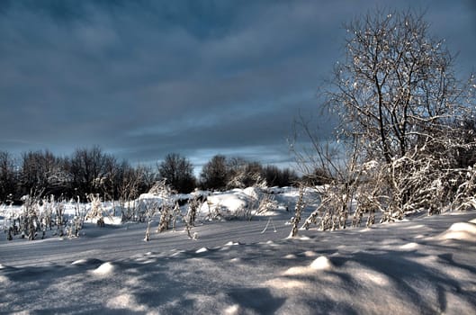 Winter landscape.Winter scene  .hdr