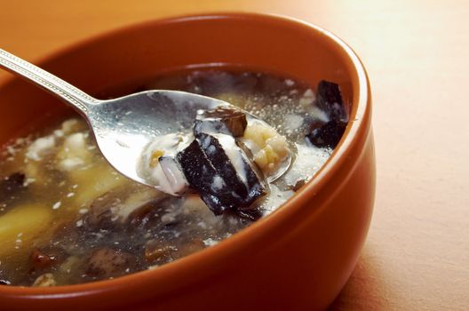 Russian sauerkraut soup with mushrooms and pearl barley.home made mushroom soup